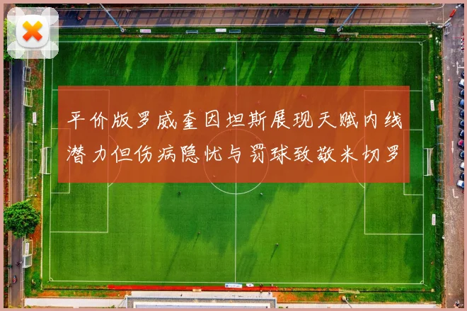 平价版罗威奎因坦斯展现天赋内线潜力但伤病隐忧与罚球致敬米切罗